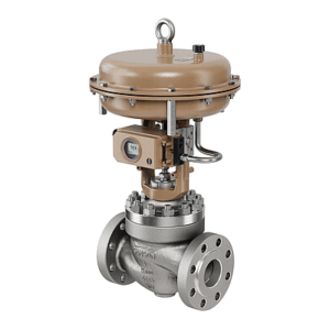 Type 251GR Caged Globe Valve - ANSI Class 150 to 900
