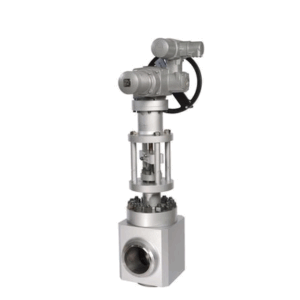Feed Water Control Valves
